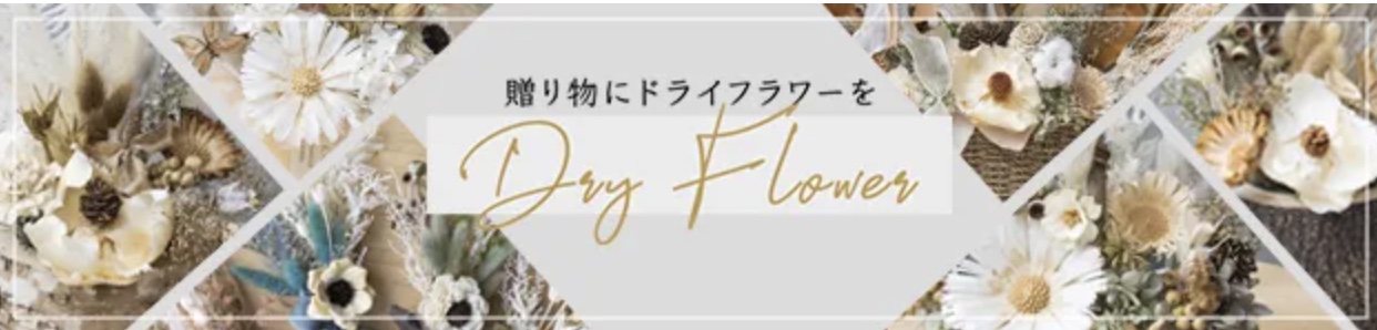 2026-01-28 17.58の画像